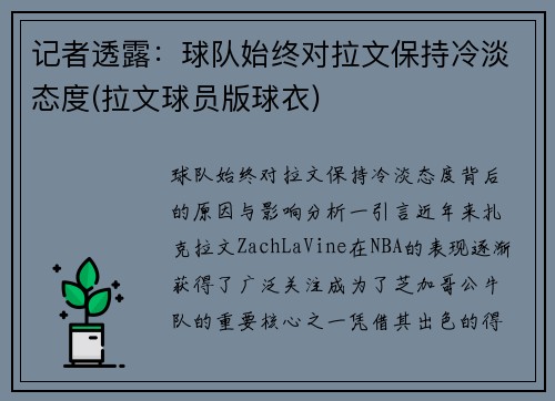 记者透露：球队始终对拉文保持冷淡态度(拉文球员版球衣)