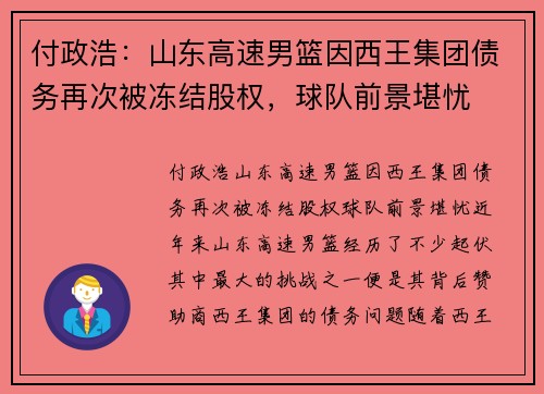 付政浩：山东高速男篮因西王集团债务再次被冻结股权，球队前景堪忧