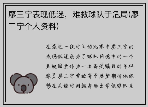 廖三宁表现低迷，难救球队于危局(廖三宁个人资料)