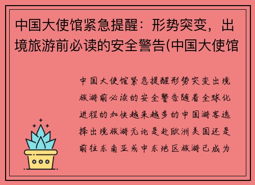 中国大使馆紧急提醒：形势突变，出境旅游前必读的安全警告(中国大使馆入境政策)