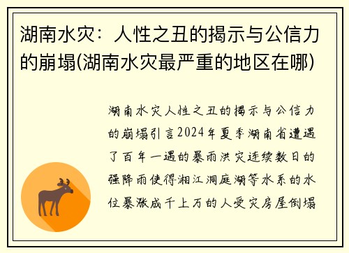 湖南水灾：人性之丑的揭示与公信力的崩塌(湖南水灾最严重的地区在哪)