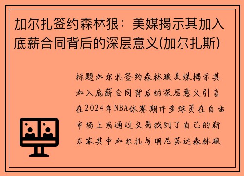 加尔扎签约森林狼：美媒揭示其加入底薪合同背后的深层意义(加尔扎斯)